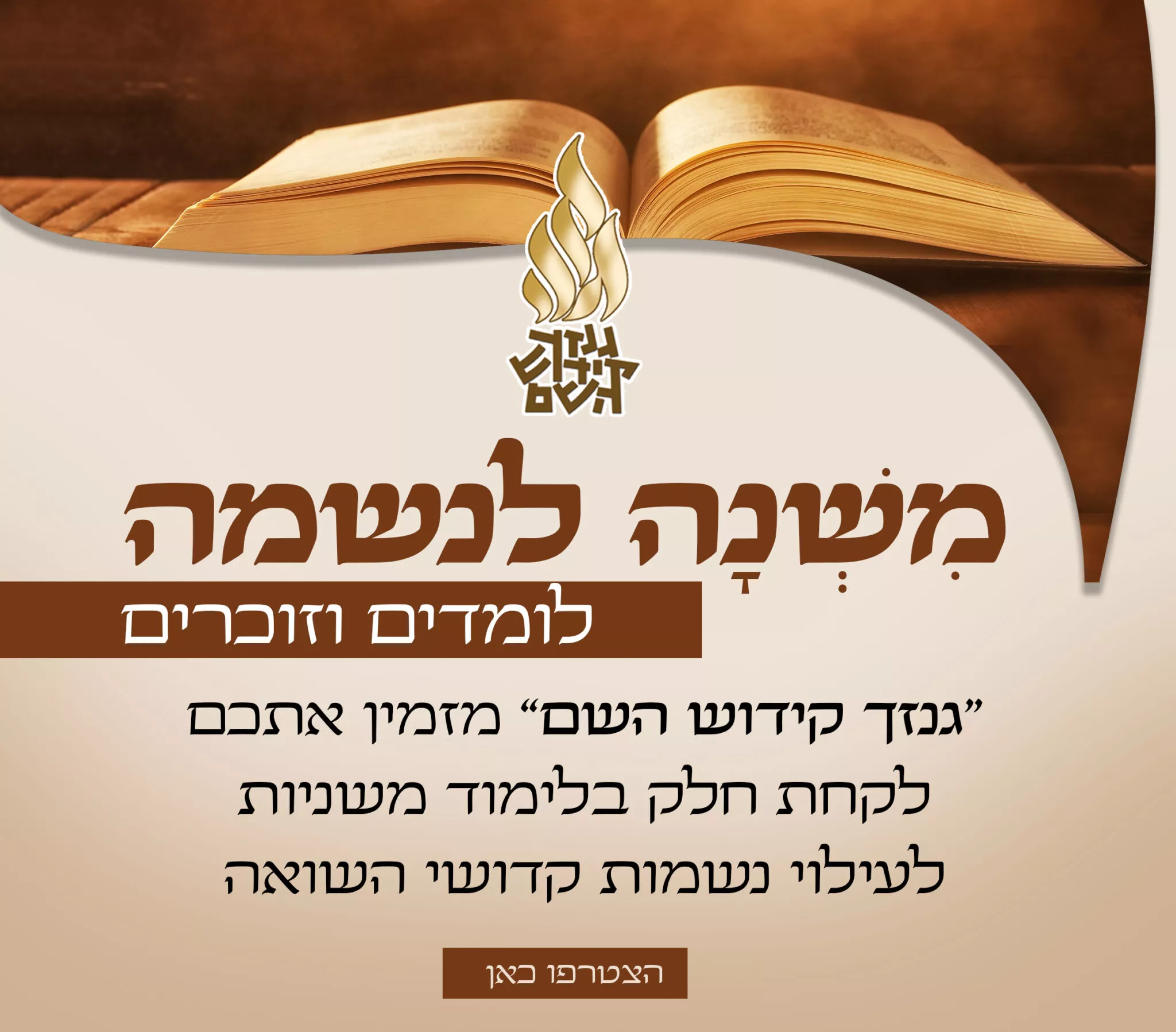 תמונה ללא תיאור