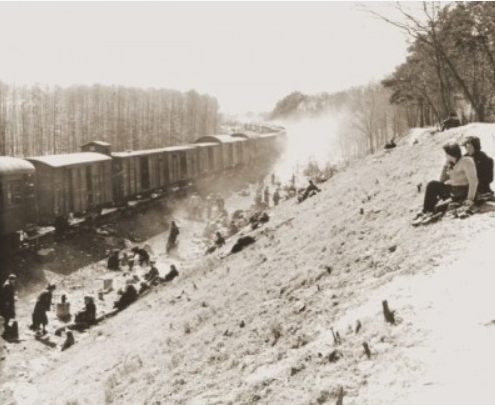 bergen belsen train liberation